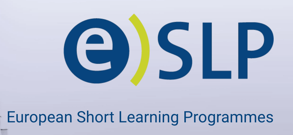 Short Learning Programmes