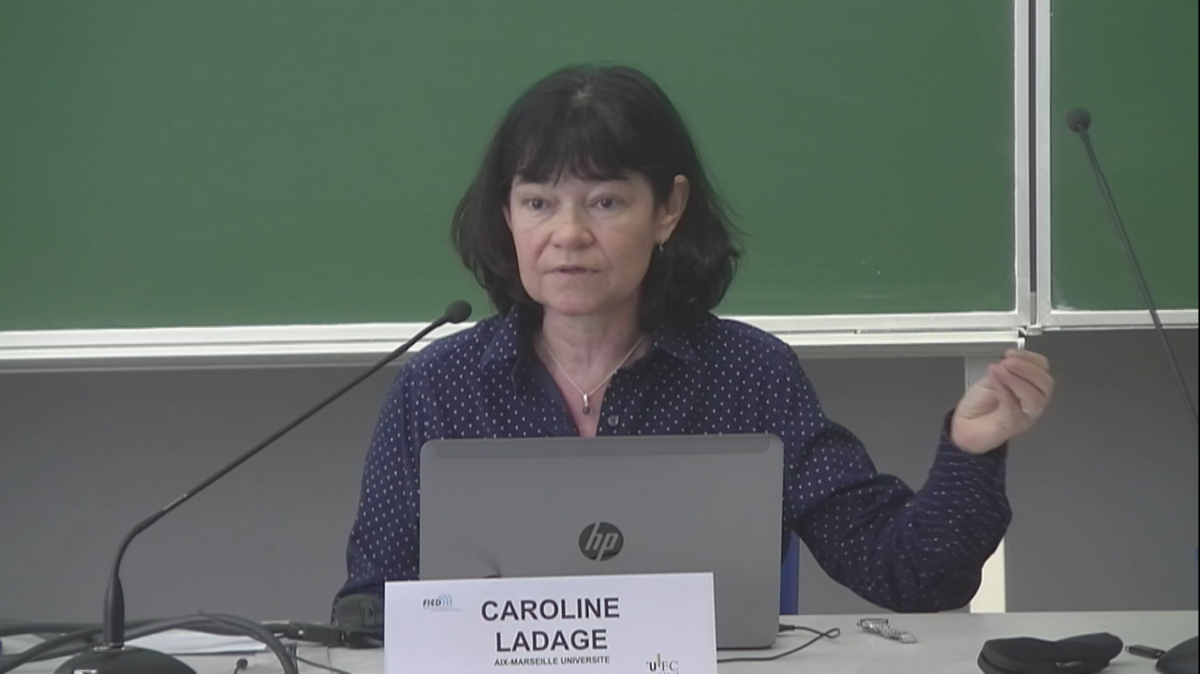 Caroline Ladage, Aix-Marseille Université